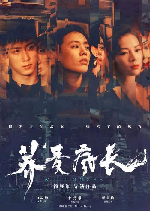 做假高峰进修学院毕业证